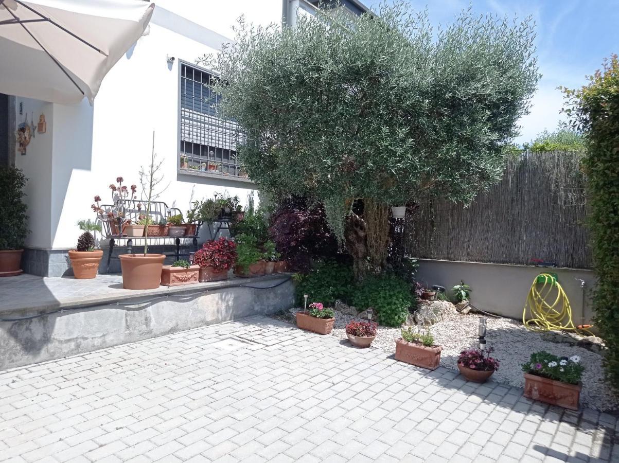 Castel Fusano Villa Sogno מראה חיצוני תמונה